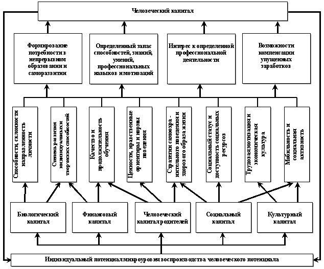 Индивидуальная модель воспроизводства человеческого капитала