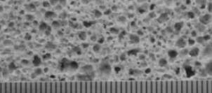 C:\Users\Irinka\Desktop\100OLYMP\����� �����\P1000541.JPG