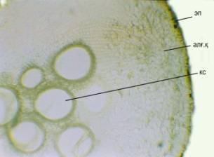 �����_���