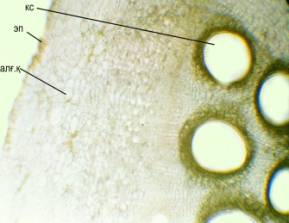 �����_���