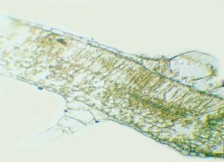 �����_����