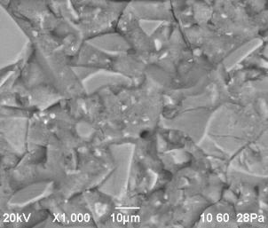 D:\������ ��� ��� )\���� ��� 2013\������ ����\���� 23�10�13\25.10.13 ��� ��� ���\���\������� 12 - 30%NaOH ���� ������ ����������������\rii - obr.12 - skol - 4.bmp