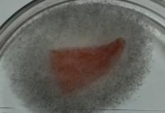 C:\Users\���������\Documents\�����������\�����, ������� �������\P_20150127_192416.jpg