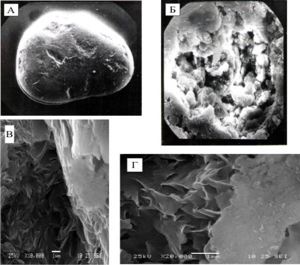 ����������� �����������