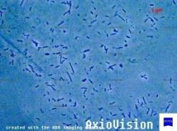 ��������: 1-2a