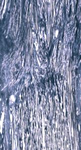 ���_���_���