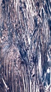 ������_���7�������