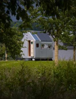 �����-��� � ��������