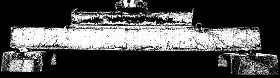 C:\Users\Patryk\Music\belka_nr_3\SawTooth Gray 8\B3_P6_STG8.png