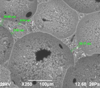 D:\������ ��� ��� )\���� �� 2014.07\2\���-2014\II ���� ���� �� 525\rii - ii - 6.bmp