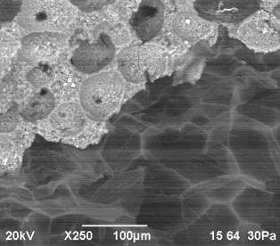 D:\������ ��� ��� )\���� �� 2014.07\2\���-2014\XI ������� ��� �� -  ����\rii - xi - 22.bmp