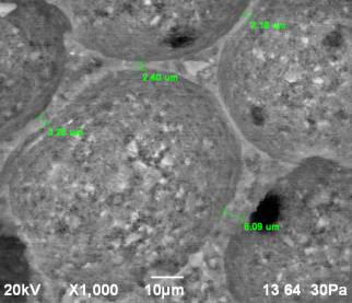 D:\������ ��� ��� )\���� �� 2014.07\2\���-2014\XI ������� ��� �� -  ����\rii - xi - 13.bmp