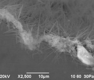 D:\������ ��� ��� )\���� �� 2014.07\2\���-2014\I ���� �������� 693\rii - i - 14.bmp