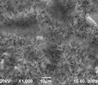 D:\������ ��� ��� )\���� �� 2014.07\2\���-2014\III ���� ���� ��� 500\rii - iii - 7.bmp