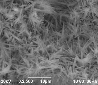 D:\������ ��� ��� )\���� �� 2014.07\2\���-2014\III ���� ���� ��� 500\rii - iii - 8.bmp