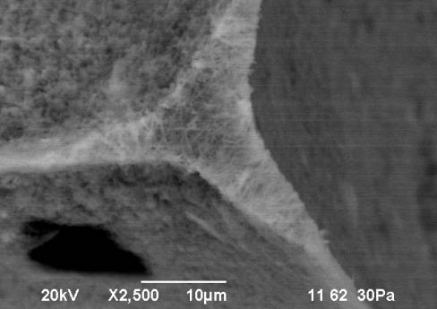 D:\������ ��� ��� )\���� �� 2014.07\2\���-2014\VIII  ���� ���� ���� �� ������ 275\rii - viii - 9.bmp